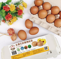 KKday防疫必備-|咱兜ㄟ養雞場・金盞花飼養機能蛋・完美蛋白質來源、高葉黃素含量|全台住家配送