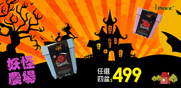 任選4盆499