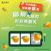 凡購買大苑子任一杯台灣鮮搾柳丁綠即贈一張刮刮卡