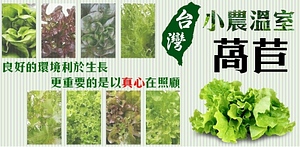 天天果園-台灣小農溫室萵苣67折起